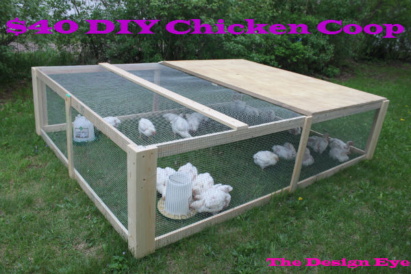 $40 DIY Chicken Coop – Scott Family Homestead
