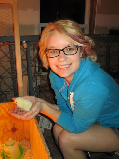 Easy DIY Chicken Brooder – Scott Family Homestead