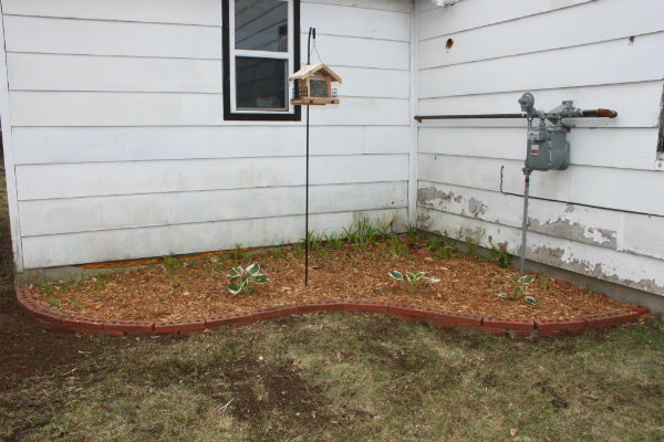 Easy Diy Chicken Brooder Scott Family Homestead