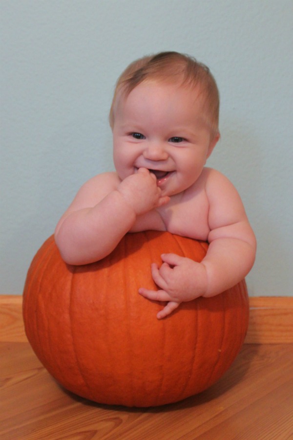 baby-pumpkin