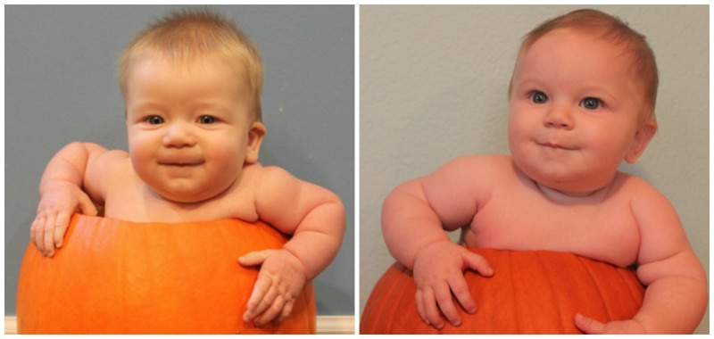 pumpkin-babies