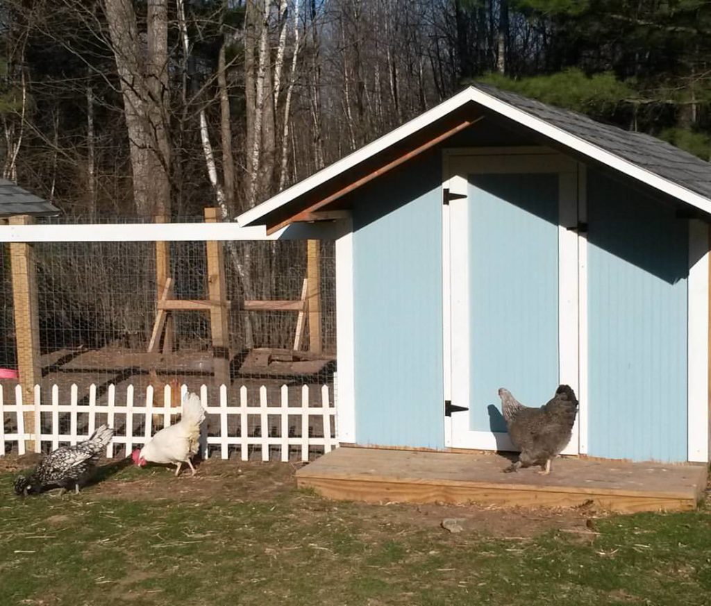 Chicken Coop