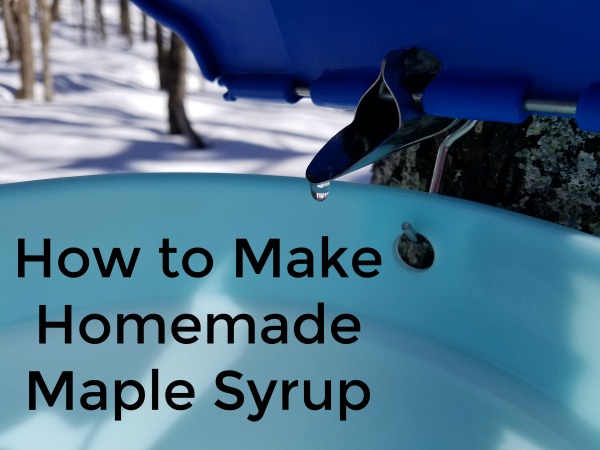 How to Make Homemade Maple Syrup