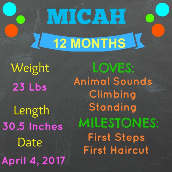MICAH 12 MONTH STATS