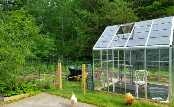Greenhouse Garden Update