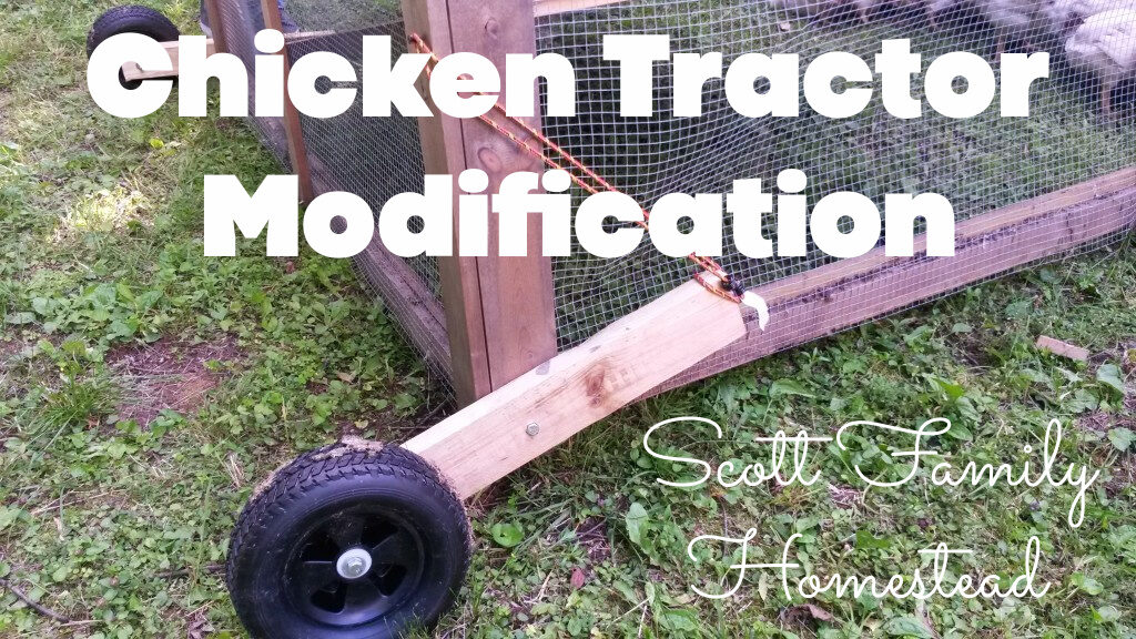 Easy Diy Chicken Brooder Scott Family Homestead